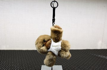 レッキス　チャーム（チンパンジー）の画像