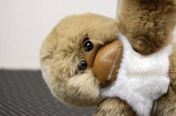 レッキス　チャーム（チンパンジー）の画像