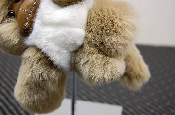 レッキス　チャーム（チンパンジー）の画像