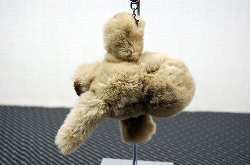 レッキス　チャーム（チンパンジー）の画像