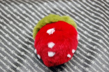 レッキス　チャーム（苺）の画像