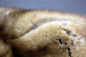 シルバリーセーブル　幅広ストールの画像