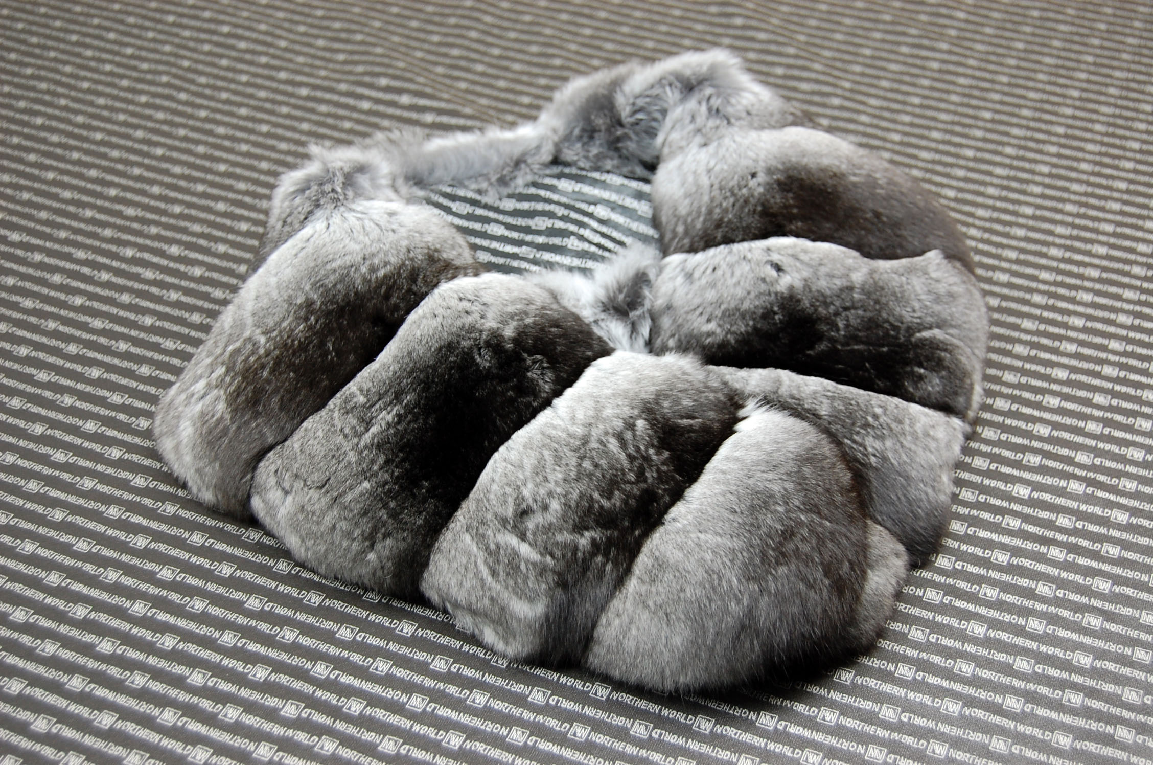 チンチラ　カラーの画像