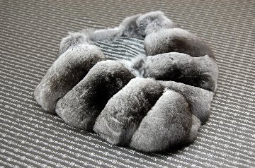 チンチラ　カラーの画像