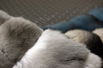 チンチラ　マフラーの画像