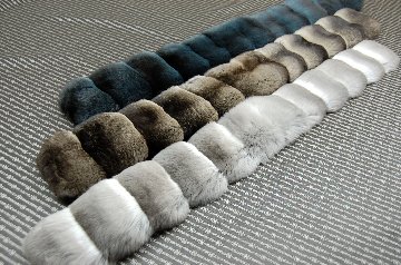 チンチラ　マフラーの画像