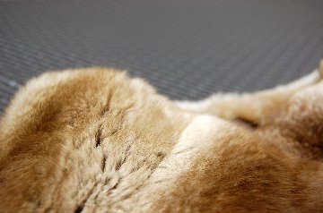 シナモンチンチラ　ロングマフラーの画像