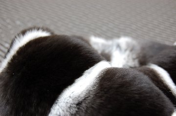 ブラックパールチンチラ　ダブルフェイスマフラーの画像