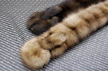 ロシアンセーブル　ダブルフェイスロングマフラーの画像