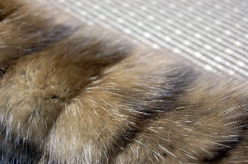 シルバリーセーブル　ホリゾンタルクロスマフラーの画像