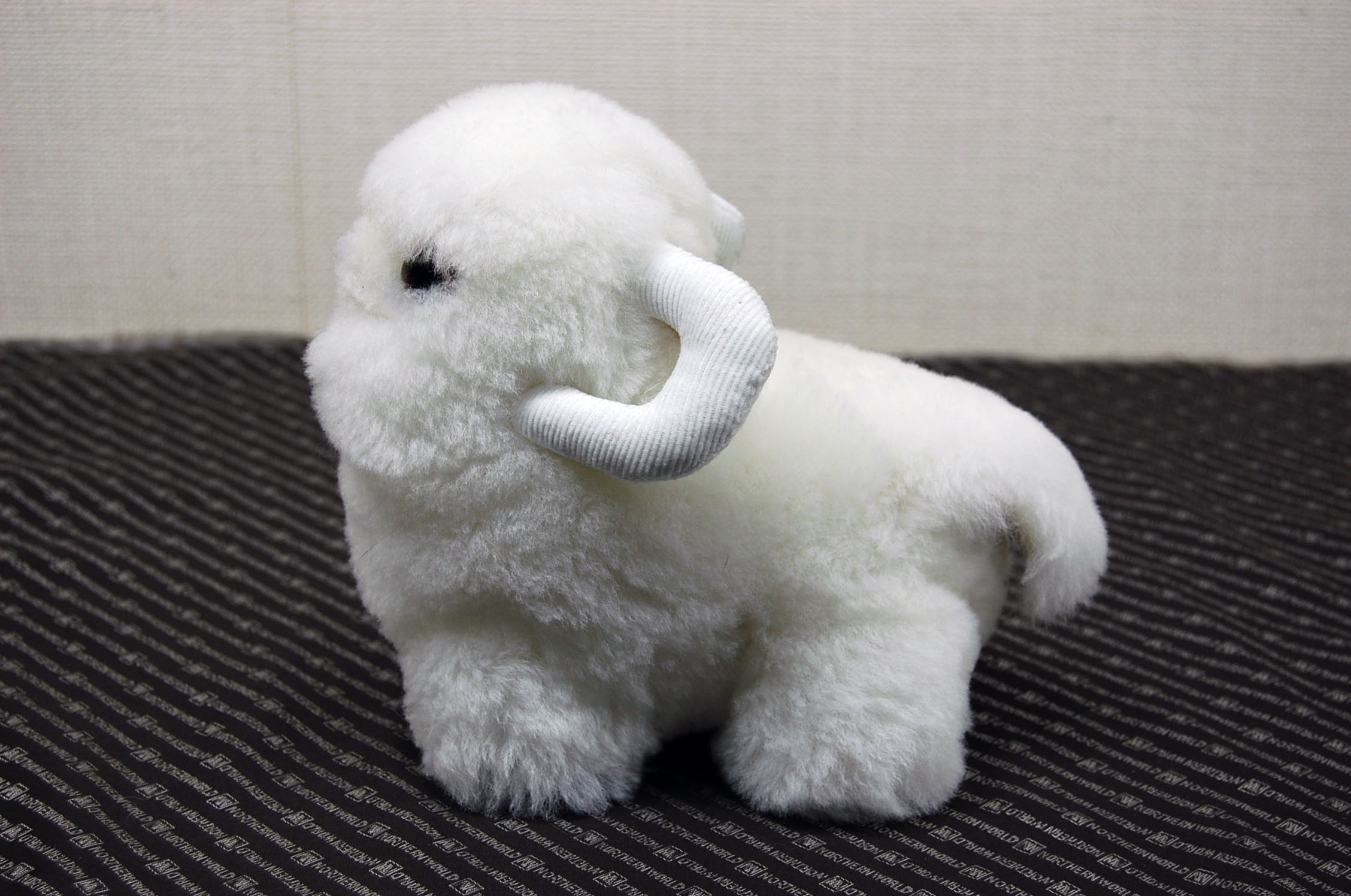 ムートン　ドール（ミニシープ）の画像