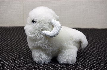 ムートン　ドール（ミニシープ）の画像