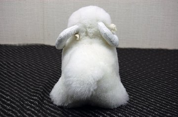 ムートン　ドール（ミニシープ）の画像