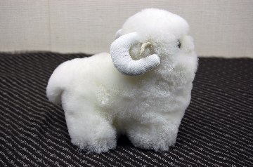 ムートン　ドール（ミニシープ）の画像