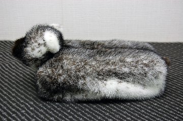 クロスミンク　ベアフェイスティッシュボックスカバーの画像