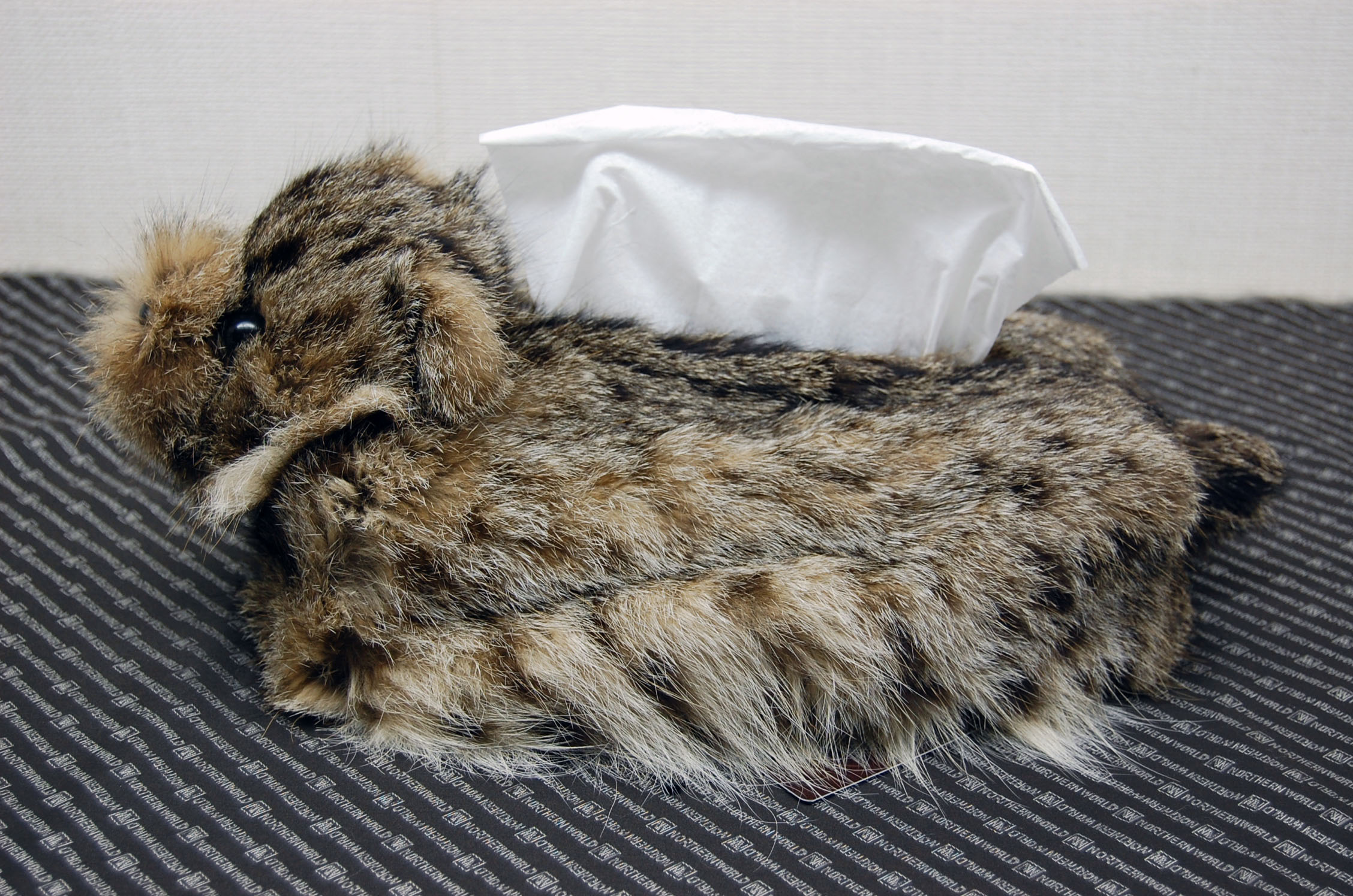 リンクスキャット　ベアフェイスティッシュボックスカバーの画像