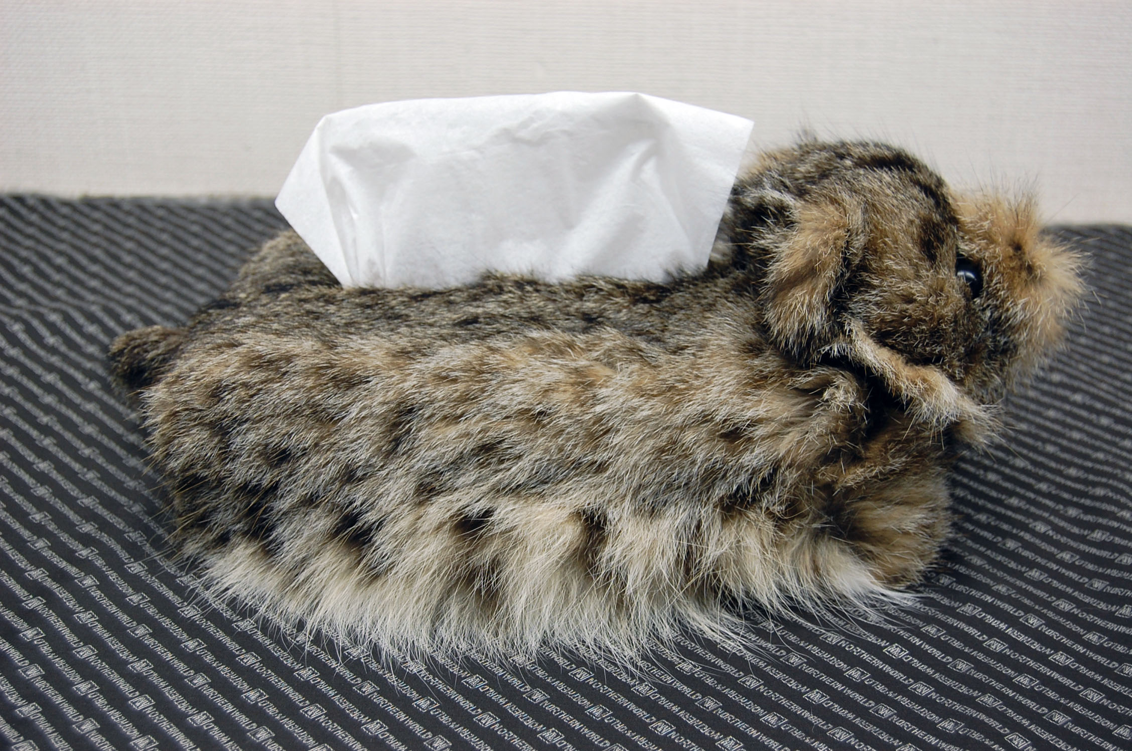 リンクスキャット　ベアフェイスティッシュボックスカバーの画像