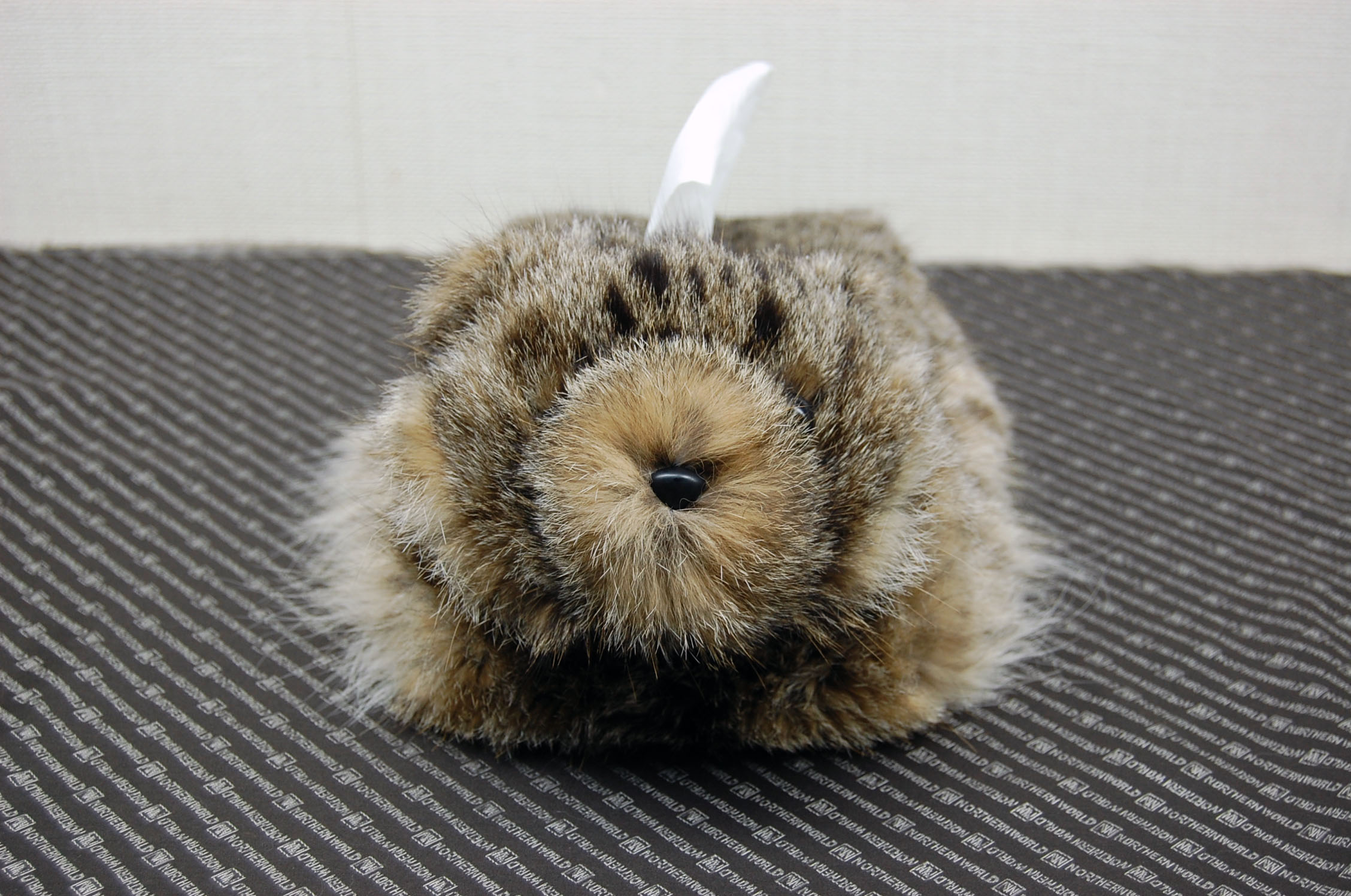 リンクスキャット　ベアフェイスティッシュボックスカバーの画像