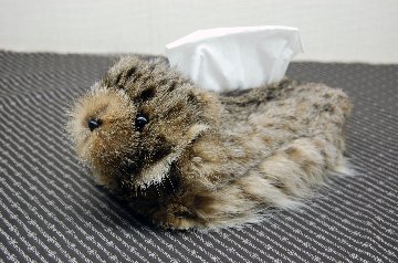 リンクスキャット　ベアフェイスティッシュボックスカバーの画像