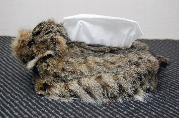 リンクスキャット　ベアフェイスティッシュボックスカバーの画像