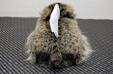 リンクスキャット　ベアフェイスティッシュボックスカバーの画像