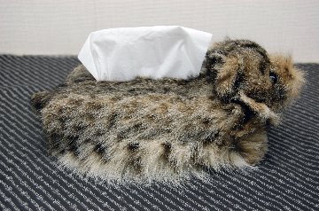 リンクスキャット　ベアフェイスティッシュボックスカバーの画像