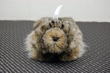 リンクスキャット　ベアフェイスティッシュボックスカバーの画像