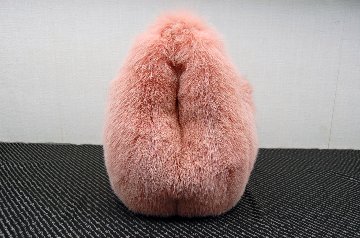 フォックス　バケットバッグの画像