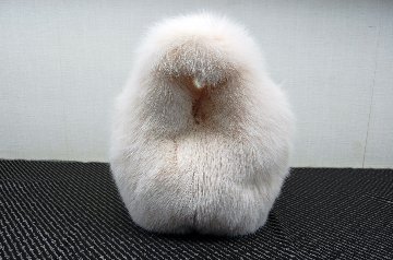 フォックス　バケットバッグの画像