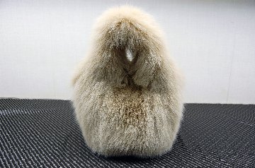 フォックス　バケットバッグの画像