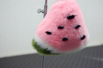 レッキス　チャーム（スイカ）の画像
