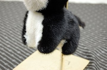 ミンク　チャーム（ドッグ）の画像