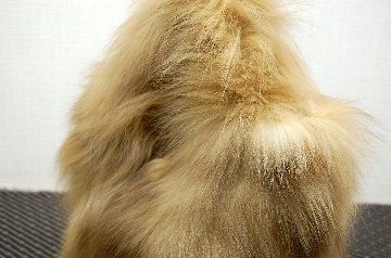 フォックス　ミニトートバッグの画像