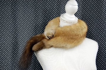 ロシアンセーブル　顔付きマフラーの画像