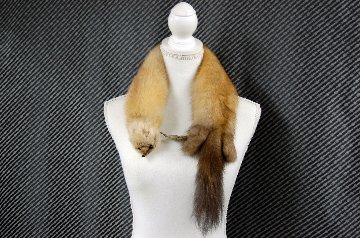 ロシアンセーブル　顔付きマフラーの画像