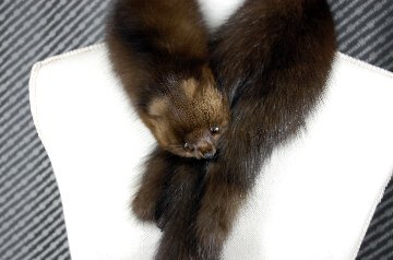 ロシアンセーブル　顔付きマフラーの画像