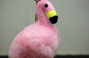 レッキス　チャーム（フラミンゴ）の画像