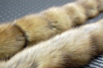 ロシアンセーブル　ストレートロングマフラーの画像