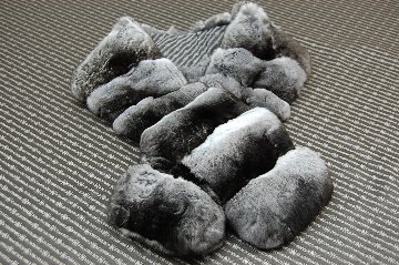 チンチラ　ロングマフラーの画像