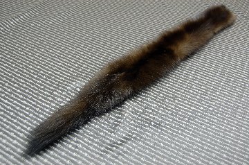 ロシアンセーブル　テール付マフラーの画像