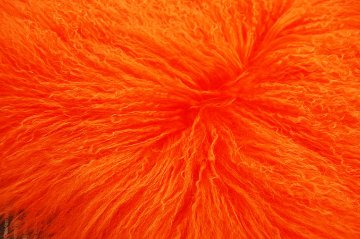 チベットラムPT　ヴィヴィッドオレンジ画像