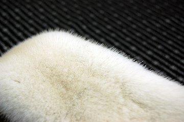 ノースアメリカンミンク　フルスキンマフラーの画像