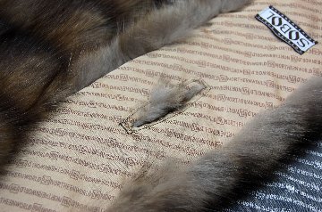 ロシアンセーブル　ロングマフラーの画像