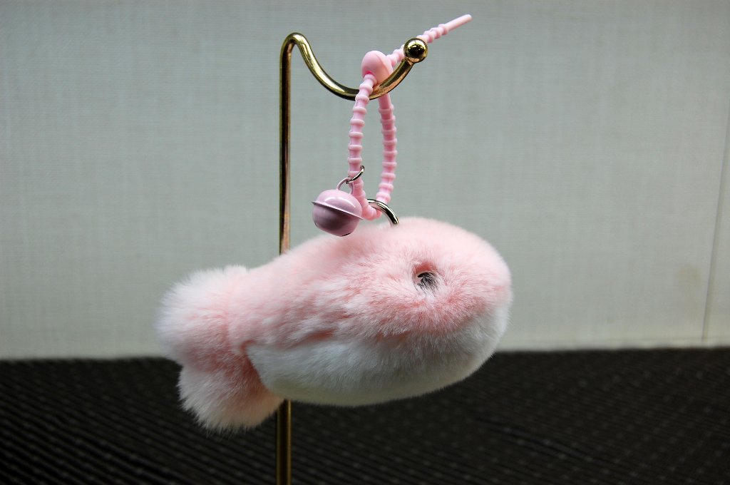 レッキス　チャーム（フィッシュ）の画像