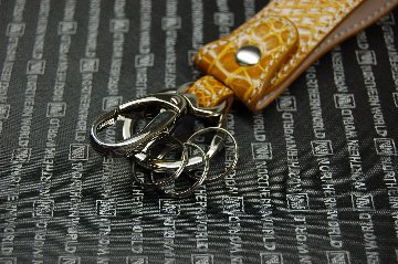 シャイニングクロコダイル　キーホルダーの画像