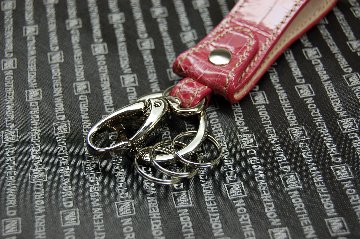 シャイニングクロコダイル　キーホルダーの画像