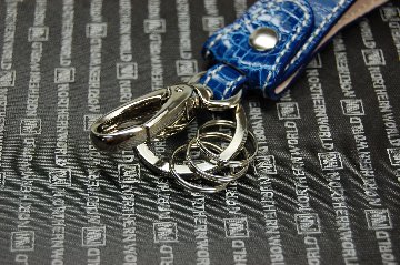 シャイニングクロコダイル　キーホルダーの画像