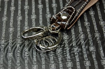 シャイニングクロコダイル　キーホルダーの画像