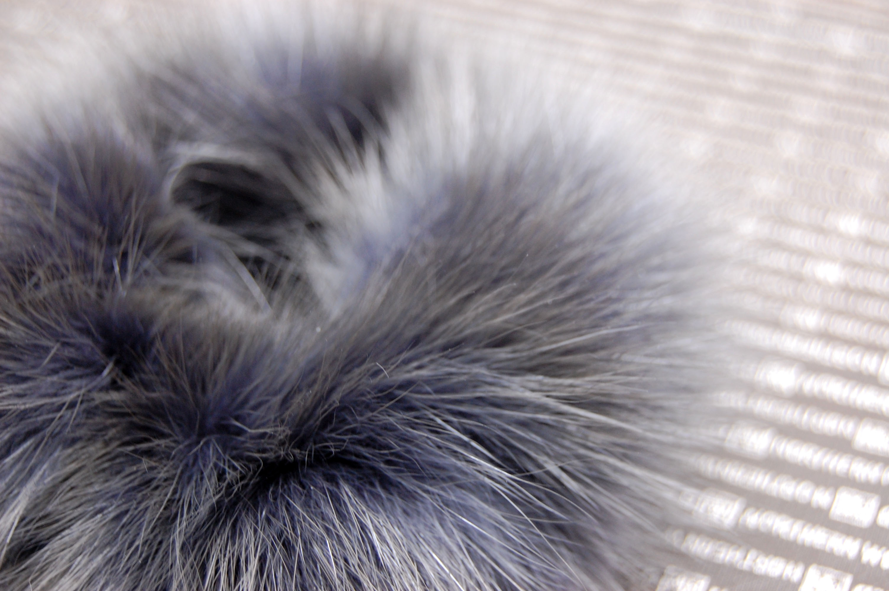 ロシアンセーブル　シュシュの画像