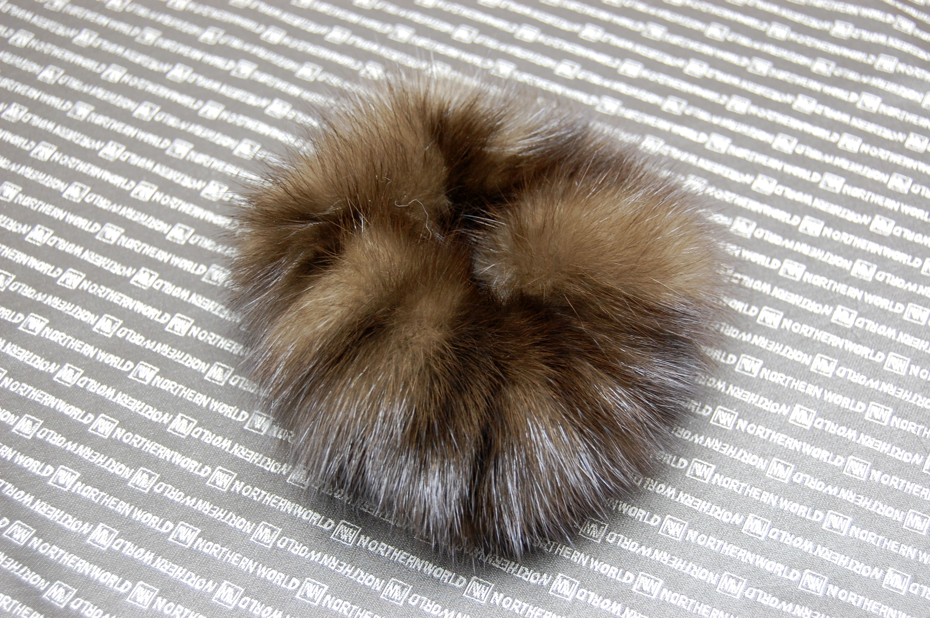 ロシアンセーブル　シュシュの画像